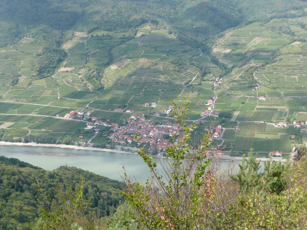 Weingut Langmayer Wösendorf Extérieur photo