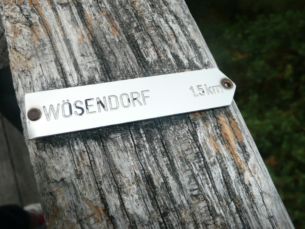 Weingut Langmayer Wösendorf Extérieur photo