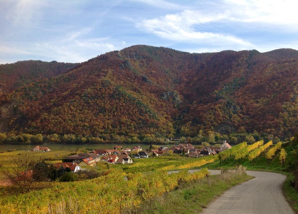Weingut Langmayer Wösendorf Extérieur photo
