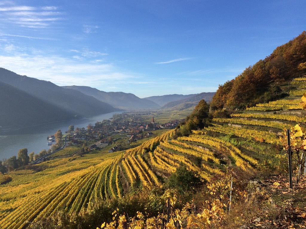 Weingut Langmayer Wösendorf Extérieur photo