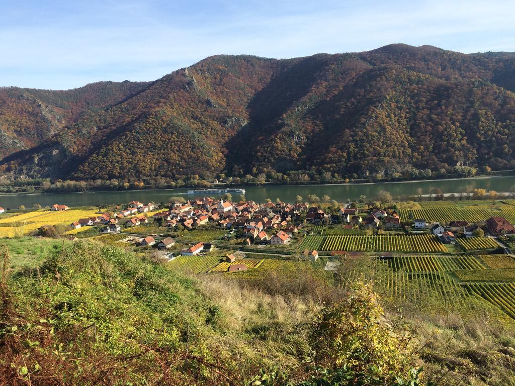 Weingut Langmayer Wösendorf Extérieur photo